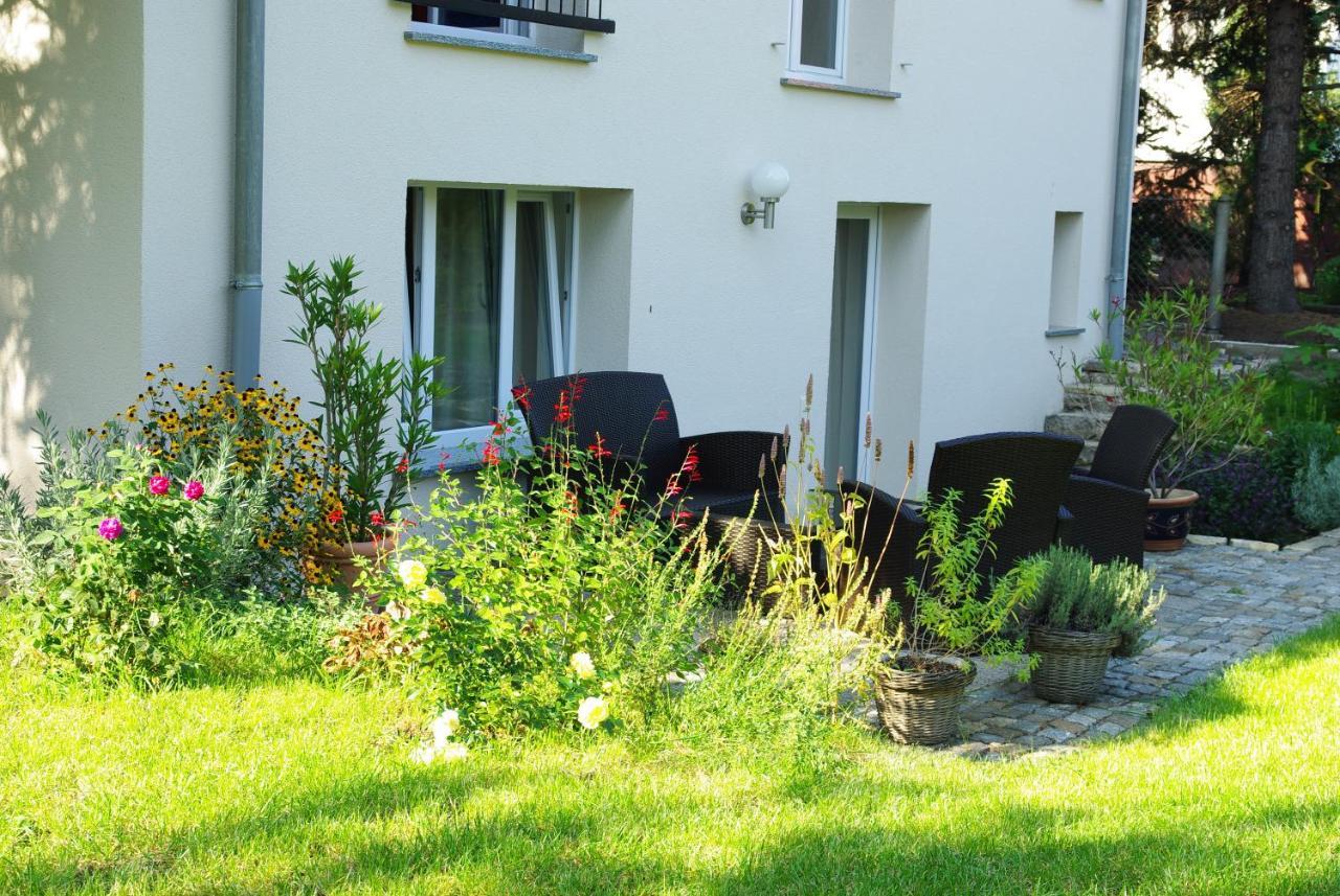 Neu Eingerichtetes Apartment #1 Mit Wlan !Sauna & Hot Tub Zubuchbar! Senftenberg Eksteriør bilde